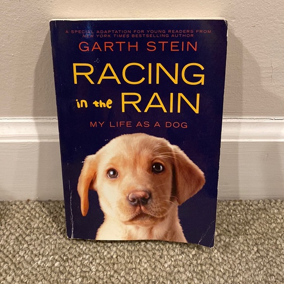 Racing in the Rain kids version. - Picture 1 of 2